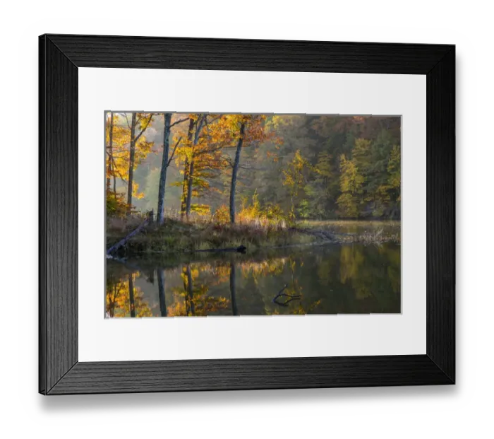 Framed Print : Backlit trees on Lake Ogle in autumn in Brown County State Park, Indiana, USA Framed Print : Backlit trees on Lake Ogle in autumn in Brown County State Park, Indiana, USA