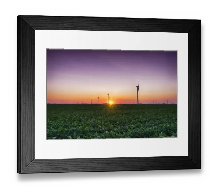 Framed Print : USA, Indiana. Soybean field and wind farm at sundown