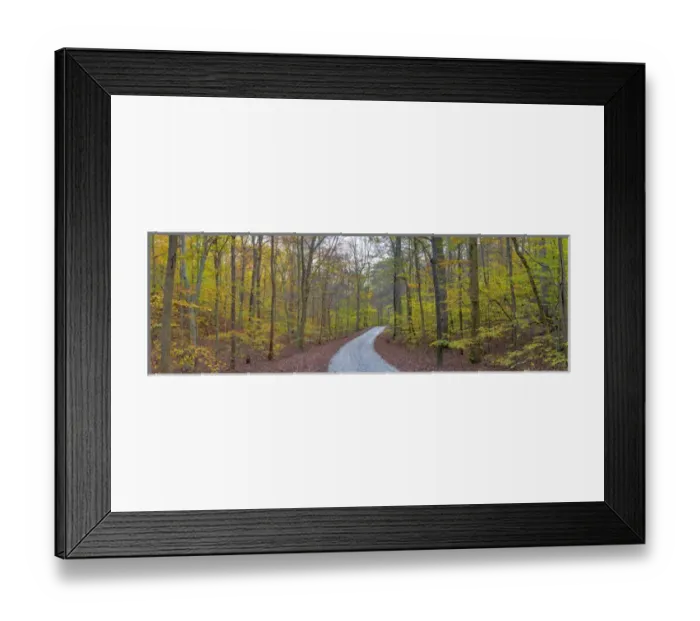 Framed Print : 63895-14311 Road through trees in fall at LaRue-Pine Hills, Shawnee National Forest, IL Framed Print : 63895-14311 Road through trees in fall at LaRue-Pine Hills, Shawnee National Forest, IL