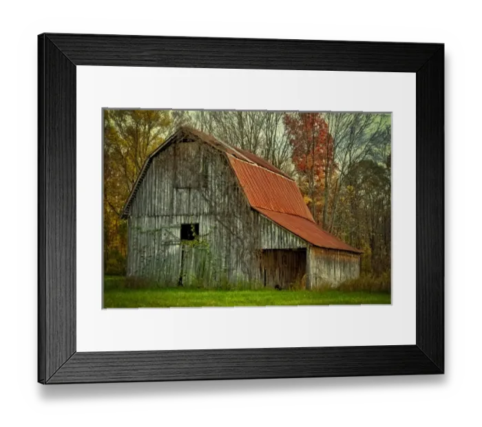 Framed Print : USA, Indiana. rural landscape, vine-covered barn with red roof Framed Print : USA, Indiana. rural landscape, vine-covered barn with red roof