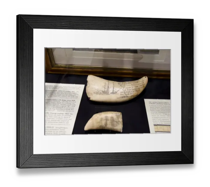 Framed Print : Massachusetts, New Bedford. New Bedford Whaling Museum Framed Print : Massachusetts, New Bedford. New Bedford Whaling Museum