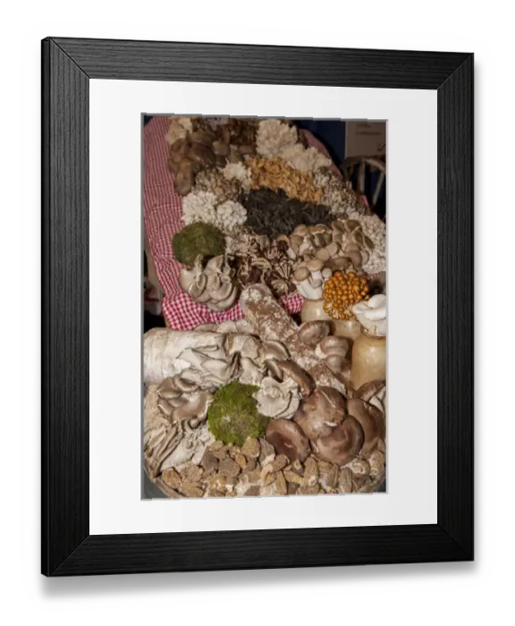 Framed Print : USA, Massachusetts, Boston, Boston Food and Restaurant Show, mushrooms Framed Print : USA, Massachusetts, Boston, Boston Food and Restaurant Show, mushrooms