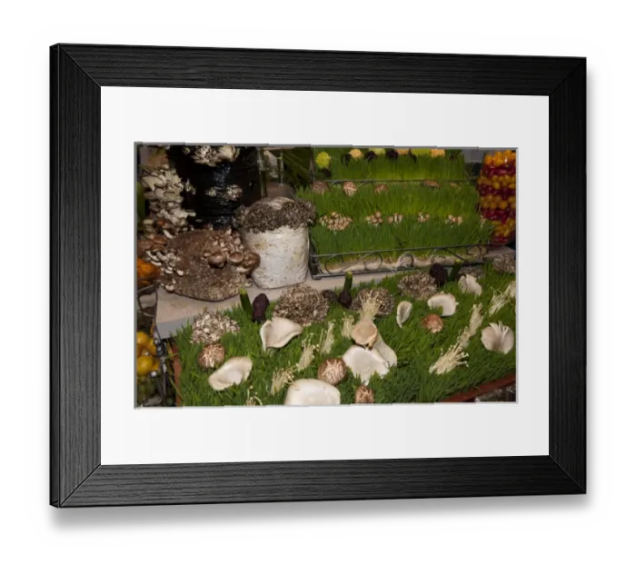 Framed Print : USA, Massachusetts, Boston, Boston Food and Restaurant Show, mushrooms Framed Print : USA, Massachusetts, Boston, Boston Food and Restaurant Show, mushrooms