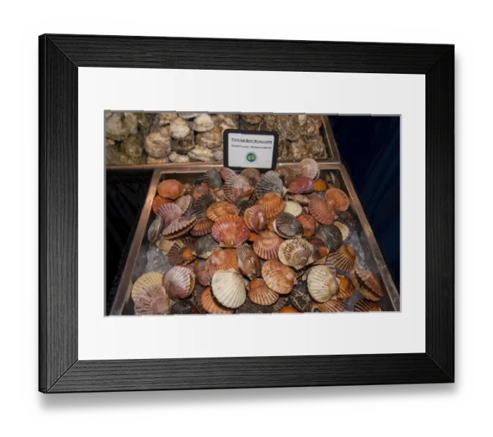 Framed Print : USA, Massachusetts, Boston, Boston Food and Restaurant Show, oysters, scallops Framed Print : USA, Massachusetts, Boston, Boston Food and Restaurant Show, oysters, scallops