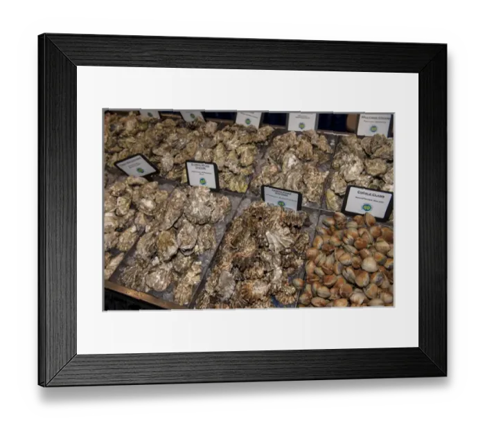 Framed Print : USA, Massachusetts, Boston, Boston Food and Restaurant Show, clams and oysters Framed Print : USA, Massachusetts, Boston, Boston Food and Restaurant Show, clams and oysters