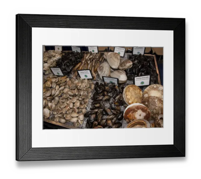 Framed Print : USA, Massachusetts, Boston, Boston Food and Restaurant Show, clams and oysters, scallops Framed Print : USA, Massachusetts, Boston, Boston Food and Restaurant Show, clams and oysters, scallops