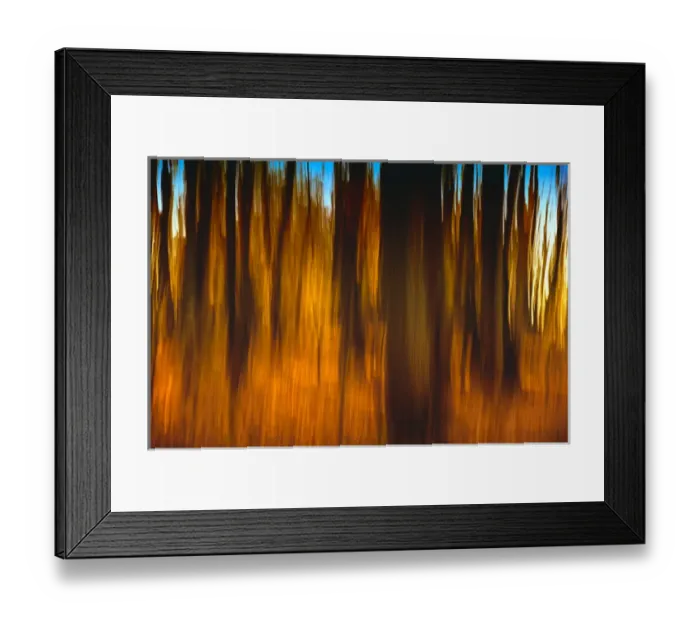 Framed Print : An impressionistic In-camera blur of colorful autumn trees