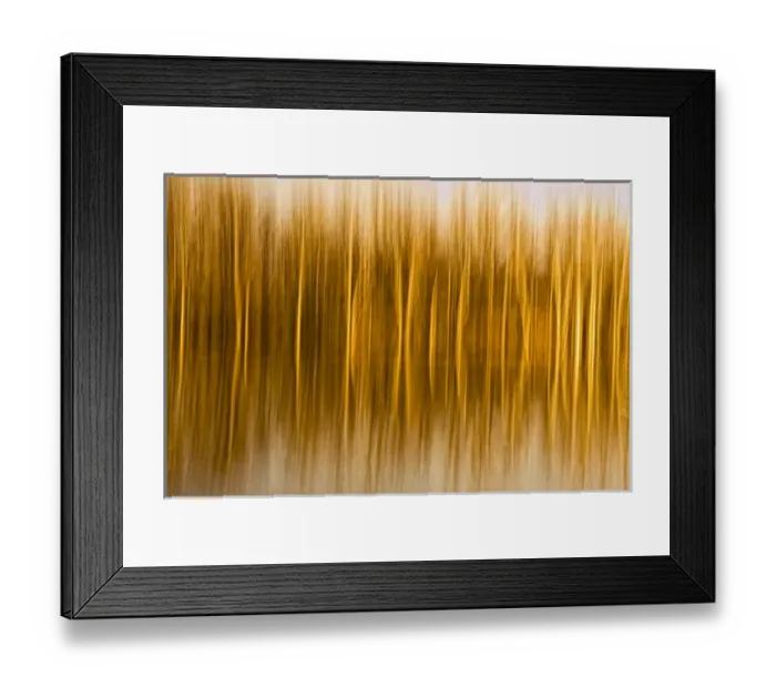 Framed Print : Abstract, in-camera blurs of trees and reflections in water Framed Print : Abstract, in-camera blurs of trees and reflections in water