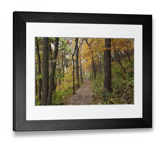Framed Print : IA, Effigy Mounds National Monument, trail to Great Bear and Little Bear Mound groups
