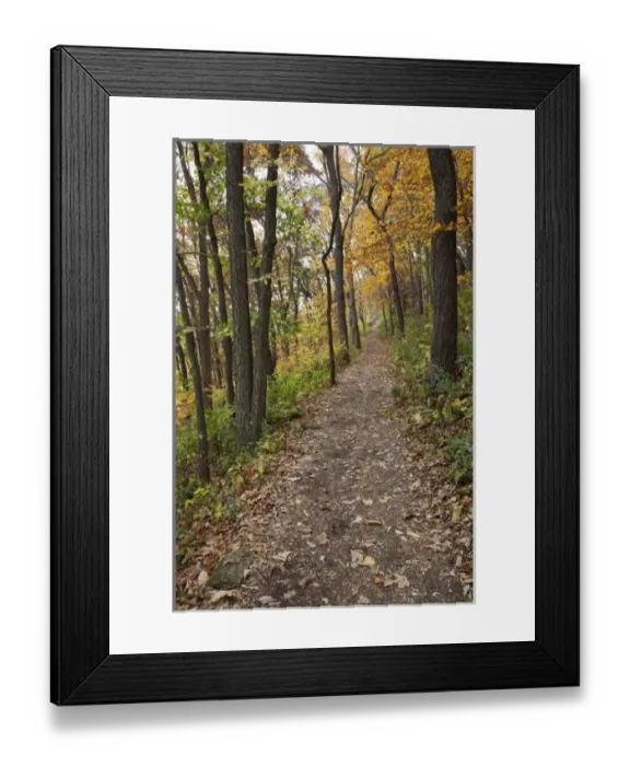Framed Print : IA, Effigy Mounds National Monument, trail to Great Bear and Little Bear Mound groups Framed Print : IA, Effigy Mounds National Monument, trail to Great Bear and Little Bear Mound groups