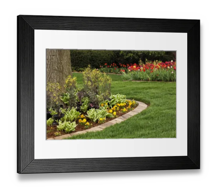 Framed Print : Yard landscaping, Audubon Park, Louisville, Kentucky Framed Print : Yard landscaping, Audubon Park, Louisville, Kentucky