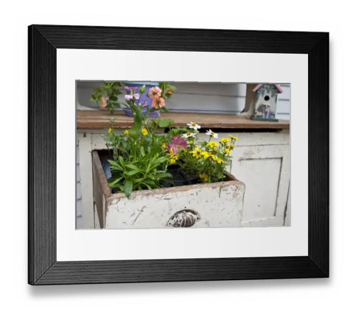Framed Print : Potting bench with flowers in spring, Marion Co. IL Framed Print : Potting bench with flowers in spring, Marion Co. IL