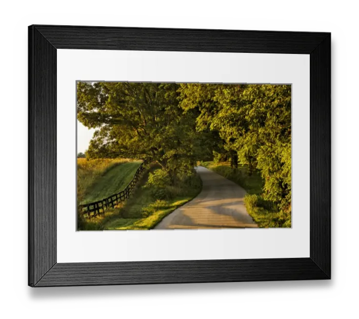 Framed Print : Rural road and fence at sunrise, Oldham County, Kentucky