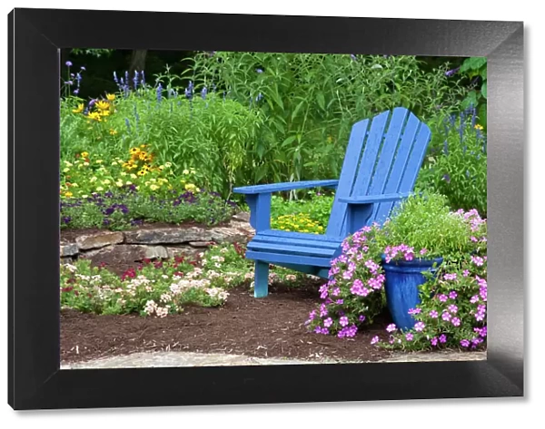 Flower garden with blue Adirondack chair, Butterfly Bushes, Peach & Purple Verbenas