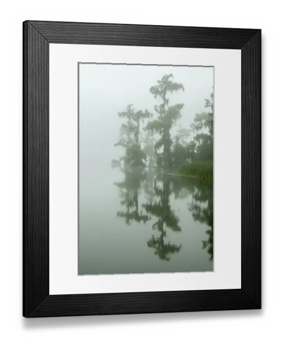 Framed Print : USA, Louisiana, Lake Martin. Fog and cypress trees reflect in lake
