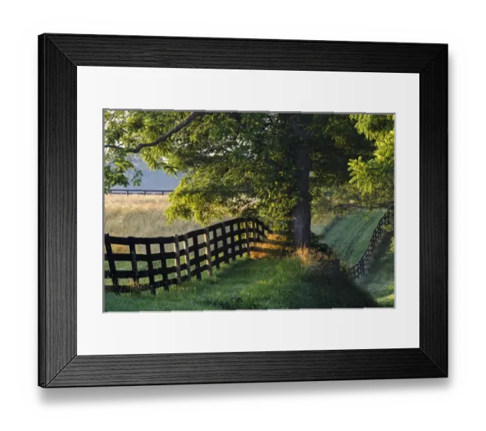 Framed Print : Farm fence at sunrise, Oldham County, Kentucky Framed Print : Farm fence at sunrise, Oldham County, Kentucky