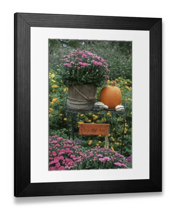 Framed Print : Fall Garden display: Mums in wooden bucket, pumpkins, gourds, lantana & welcome Framed Print : Fall Garden display: Mums in wooden bucket, pumpkins, gourds, lantana & welcome