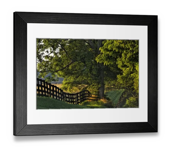 Framed Print : Farm fence at sunrise, Oldham Co. Kentucky Framed Print : Farm fence at sunrise, Oldham Co. Kentucky