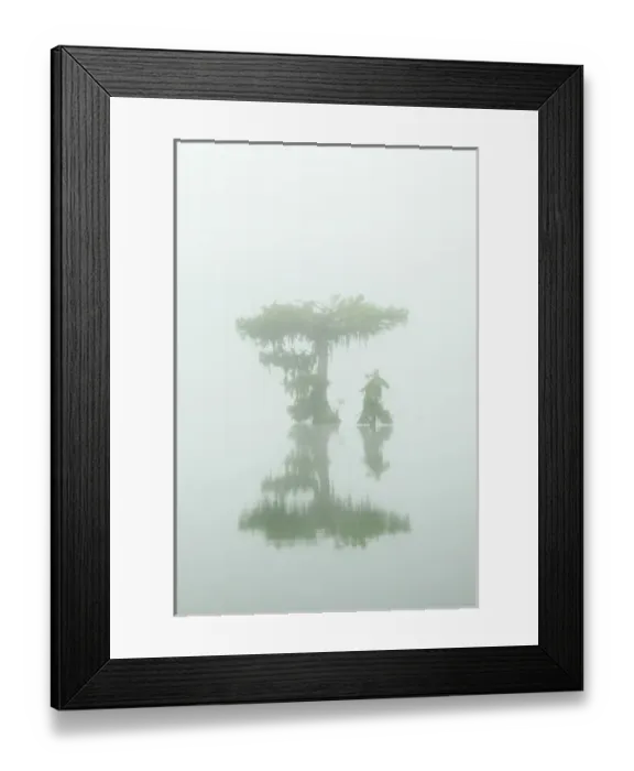 Framed Print : USA, Louisiana, Lake Martin. Fog and cypress trees reflect in lake