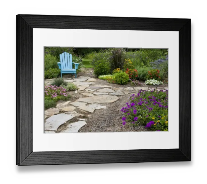 Framed Print : Flower garden with path and blue chair. Homestead Purple Verbena, Tapien pink verbena Framed Print : Flower garden with path and blue chair. Homestead Purple Verbena, Tapien pink verbena