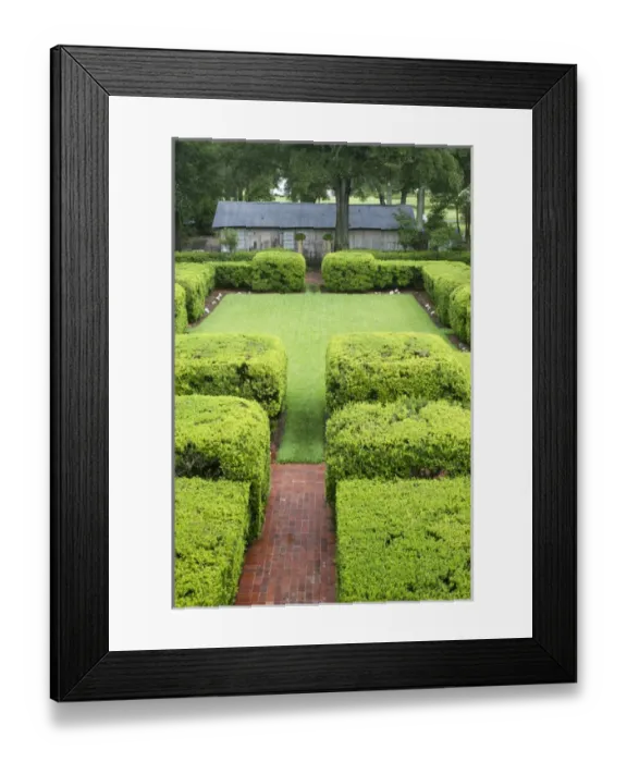 Framed Print : LA, Vacherie, Oak Alley Plantation, Stewart Gardens on the sugarcane plantation Framed Print : LA, Vacherie, Oak Alley Plantation, Stewart Gardens on the sugarcane plantation