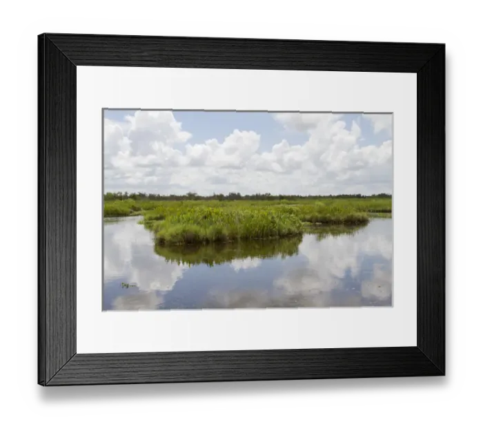Framed Print : LA, Lafitte, Airboat swamp tour Framed Print : LA, Lafitte, Airboat swamp tour