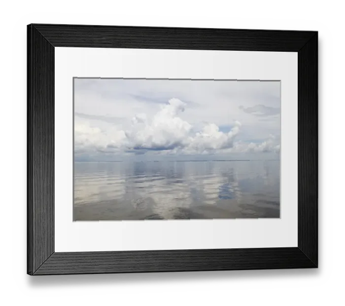Framed Print : LA, Lafitte, Airboat swamp tour Framed Print : LA, Lafitte, Airboat swamp tour