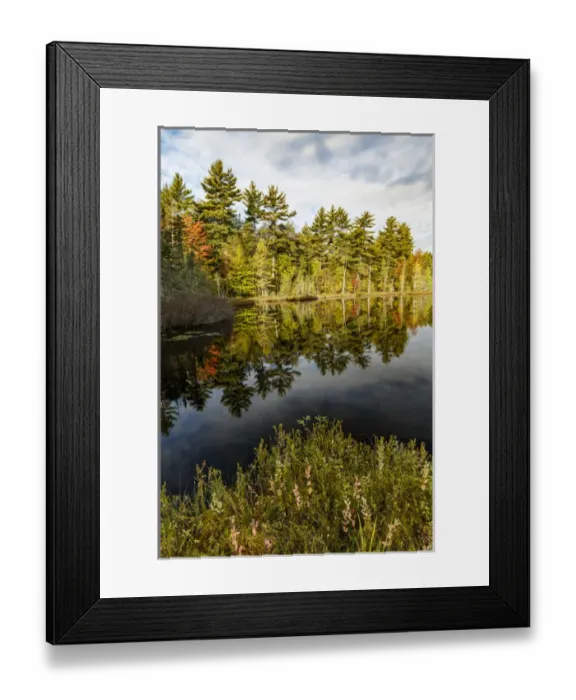 Framed Print : Irwin Lake and bog, Hiawatha National Forest, Upper Peninsula of Michigan Framed Print : Irwin Lake and bog, Hiawatha National Forest, Upper Peninsula of Michigan