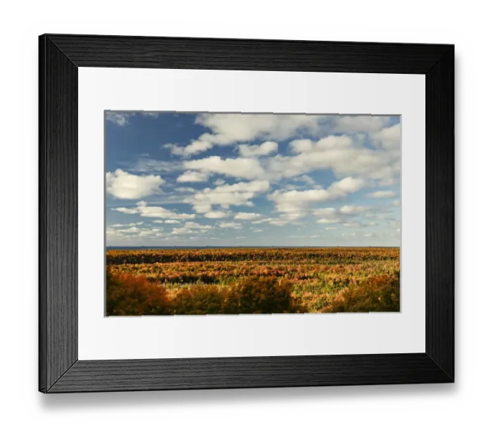 Framed Print : Overlooking fall colors, Pictured Rocks National Lakeshore, Upper Peninsula of Michigan Framed Print : Overlooking fall colors, Pictured Rocks National Lakeshore, Upper Peninsula of Michigan