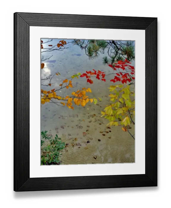 Framed Print : USA, Maine. Scenic of lake shore of Upper Togue Pond