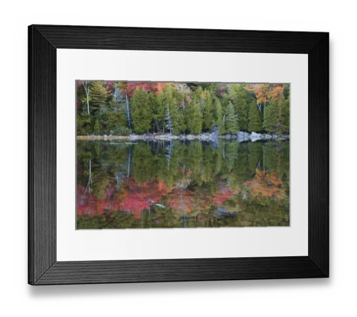Framed Print : USA; North America, Maine; Acadia National Park; Fall reflections at Bubble Pond