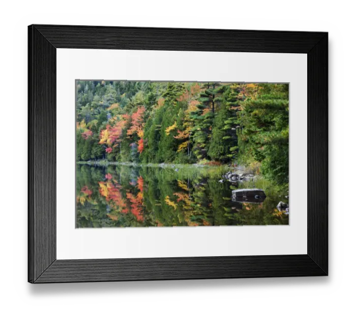 Framed Print : USA; North America, Maine; Acadia National Park; Fall reflections at Bubble Pond
