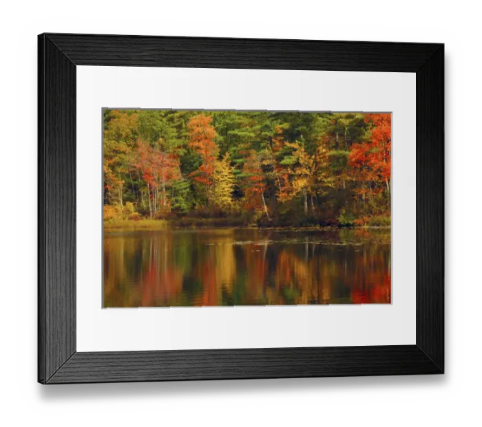Framed Print : Autumn Reflections, Trickey Pond, Naples, Maine, USA Framed Print : Autumn Reflections, Trickey Pond, Naples, Maine, USA