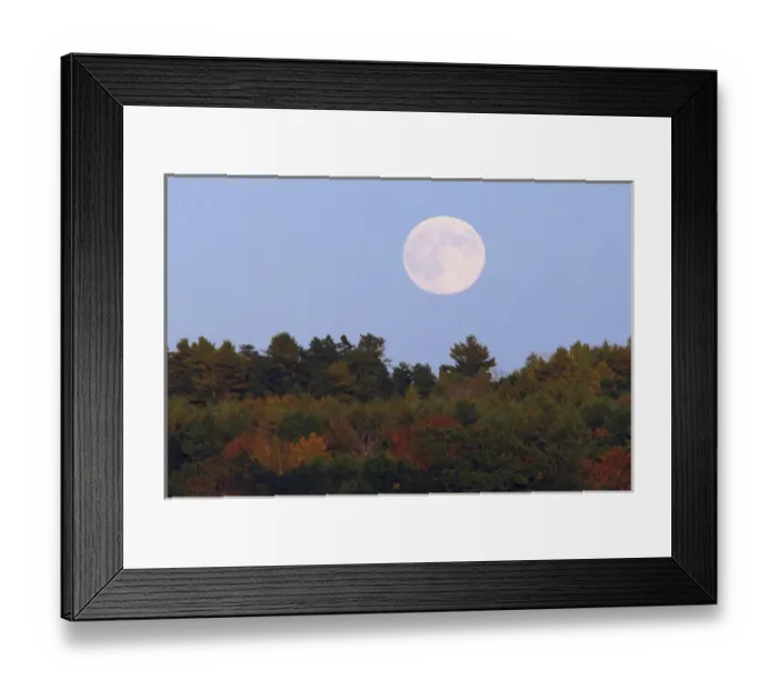 Framed Print : Full Moon over Bath, Bath, Maine, USA, full moon, fall colors, astronomy Framed Print : Full Moon over Bath, Bath, Maine, USA, full moon, fall colors, astronomy