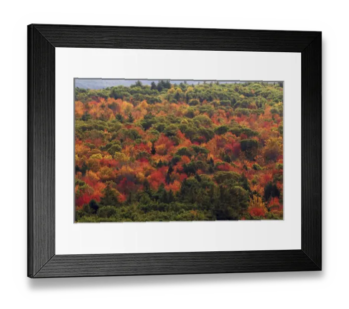 Framed Print : View from Bradbury Mountain, Bradbury Mountain State Park, Freeport, Maine