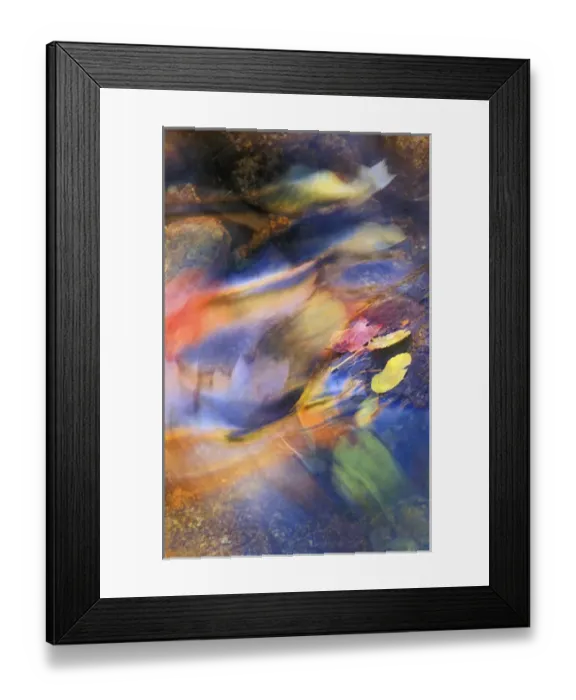 Framed Print : USA, Michigan. Autumn leaves in stream. Credit as: Nancy Rotenberg  /  Jaynes Gallery