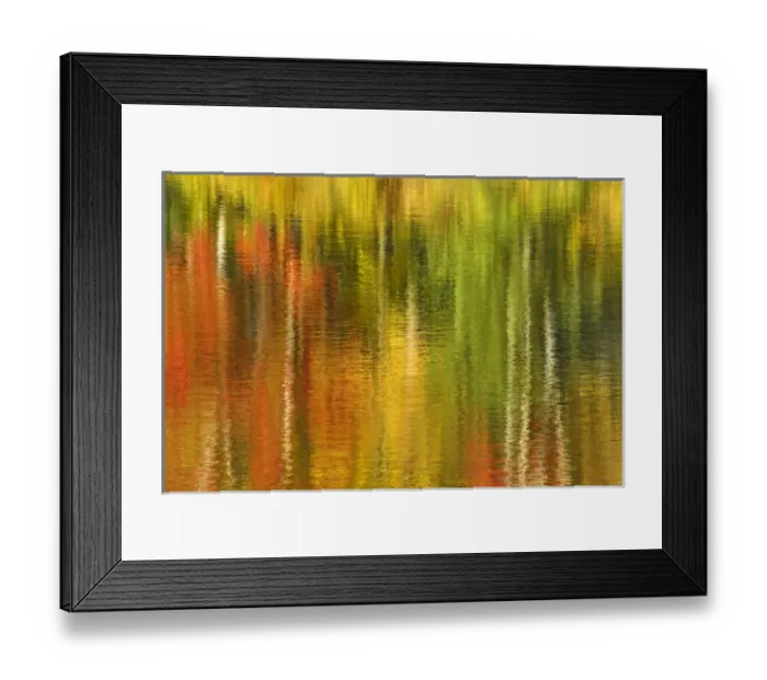 Framed Print : USA, Michigan, Upper Peninsula, Bond Falls Recreation Area. Reflection of autumn birch Framed Print : USA, Michigan, Upper Peninsula, Bond Falls Recreation Area. Reflection of autumn birch