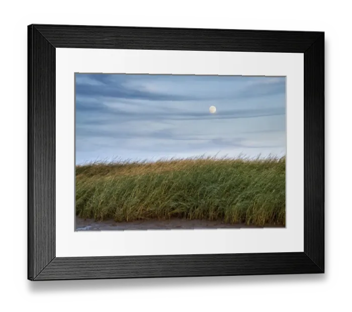 Framed Print : USA, Massachusetts, Cape Cod, Full moon rising at First Encounter Beach Framed Print : USA, Massachusetts, Cape Cod, Full moon rising at First Encounter Beach