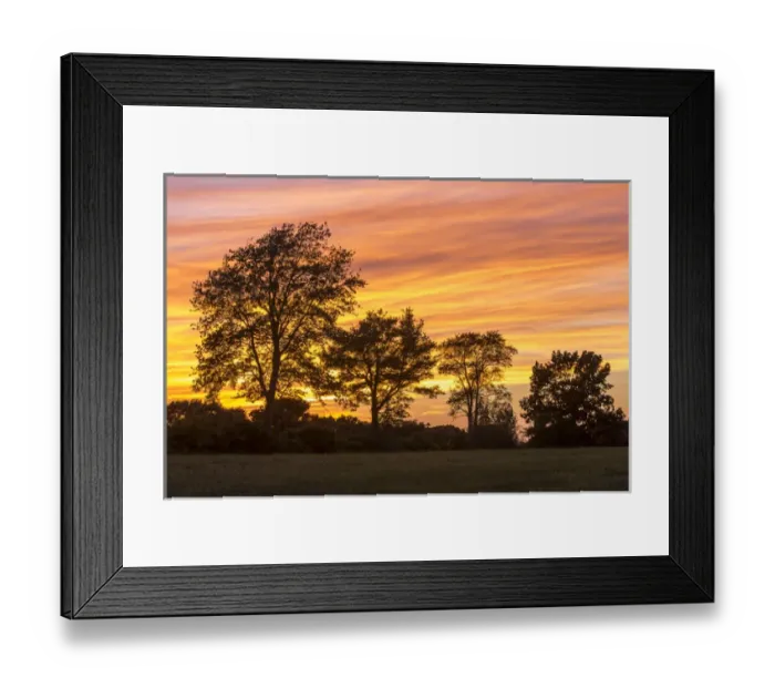 Framed Print : Trees at dusk on Sagamore Hill in Hamilton, Massachusetts Framed Print : Trees at dusk on Sagamore Hill in Hamilton, Massachusetts