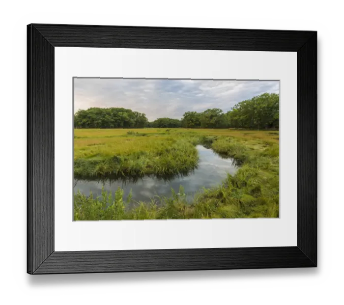 Framed Print : The salt marsh along the Castle Neck River in Ipswich, Massachusetts