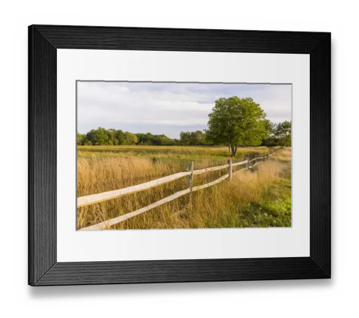 Framed Print : A field in Ipswich, Massachusetts Framed Print : A field in Ipswich, Massachusetts