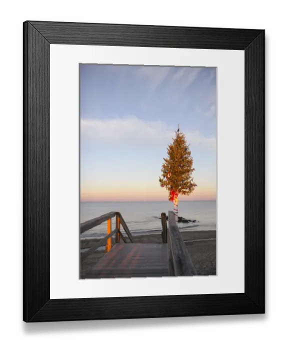 Framed Print : Christmas tree at the end of Sandwich Boardwalk, Sandwich, Cape Cod, Massachusetts Framed Print : Christmas tree at the end of Sandwich Boardwalk, Sandwich, Cape Cod, Massachusetts