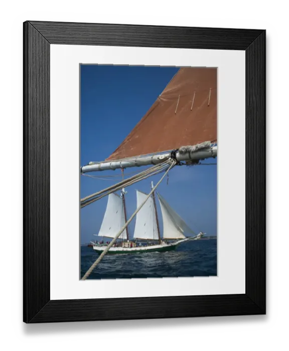 Framed Print : USA, Massachusetts, Cape Ann, Gloucester, Americas Oldest Seaport, Annual Schooner Framed Print : USA, Massachusetts, Cape Ann, Gloucester, Americas Oldest Seaport, Annual Schooner
