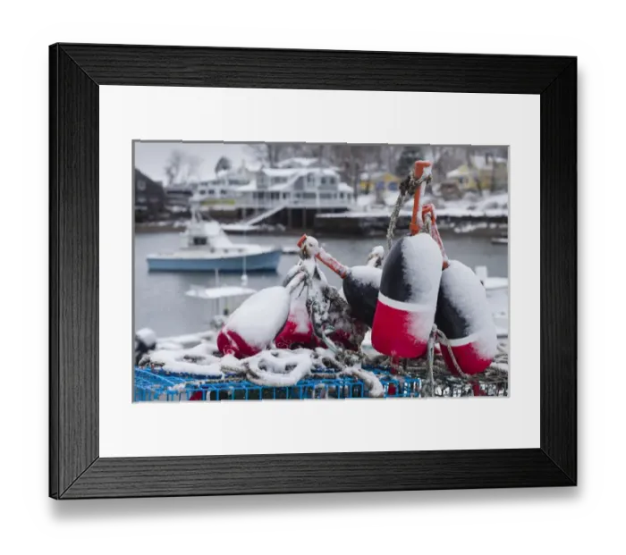 Framed Print : USA, Massachusetts, Cape Ann, Gloucester, early snow fall and lobster buoys on Lobster