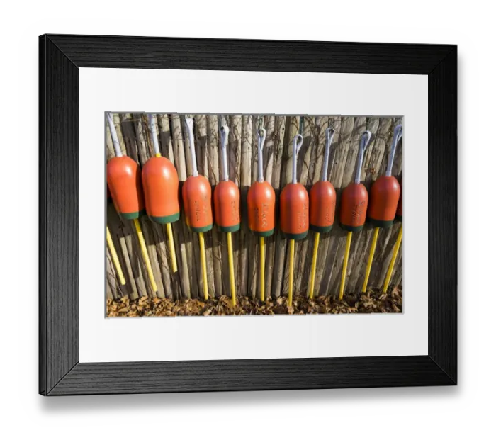 Framed Print : USA, Massachusetts, Cape Ann, Gloucester, lobster buoys Framed Print : USA, Massachusetts, Cape Ann, Gloucester, lobster buoys