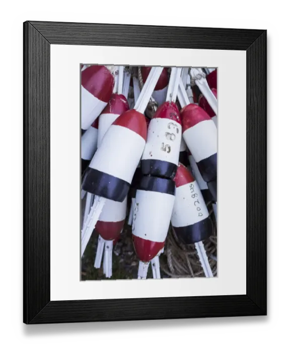 Framed Print : USA, Massachusetts, Cape Ann, Rockport, lobster buoys
