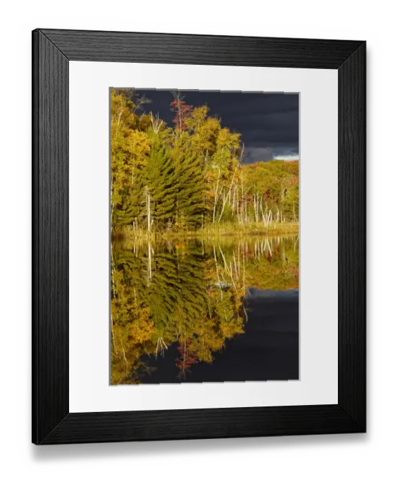 Framed Print : Shoreline of Red Jack Lake at sunrise, Hiawatha National Forest, Upper Peninsula Framed Print : Shoreline of Red Jack Lake at sunrise, Hiawatha National Forest, Upper Peninsula