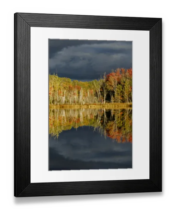 Framed Print : Shoreline of Red Jack Lake at sunrise, Hiawatha National Forest, Upper Peninsula Framed Print : Shoreline of Red Jack Lake at sunrise, Hiawatha National Forest, Upper Peninsula
