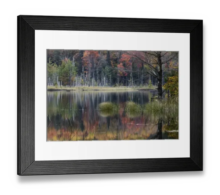 Framed Print : Autumn Colors and mist reflecting on Council Lake at sunrise, Hiawatha National Forest Framed Print : Autumn Colors and mist reflecting on Council Lake at sunrise, Hiawatha National Forest
