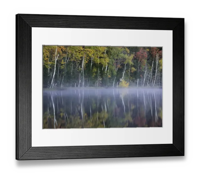 Framed Print : Autumn Colors and mist reflecting on Council Lake at sunrise, Hiawatha National Forest